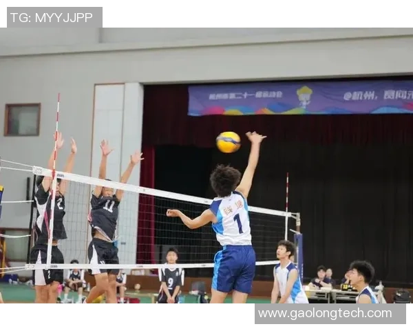 杭州排球队在排球灵活性排行榜中荣获第二名展现出强大实力与潜力