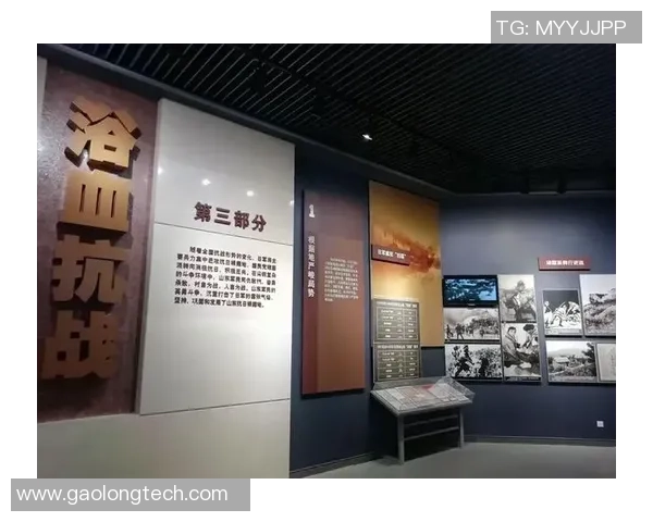 武汉羽毛球队奋斗历程的真实记录与精神传承