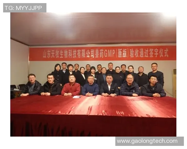 深圳网球队的崛起之路全运会特别报道见证奋斗与荣耀的历程