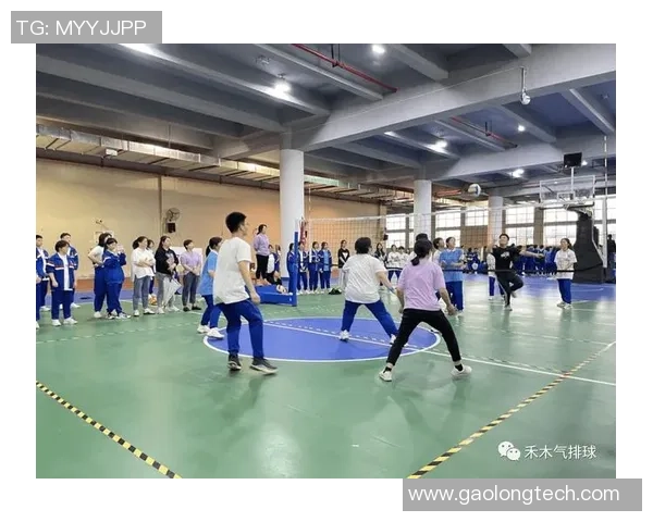 杭州排球队整体压制战术解析与实战应用探讨 杭州排球队整体压制战术解析与实战应用探讨